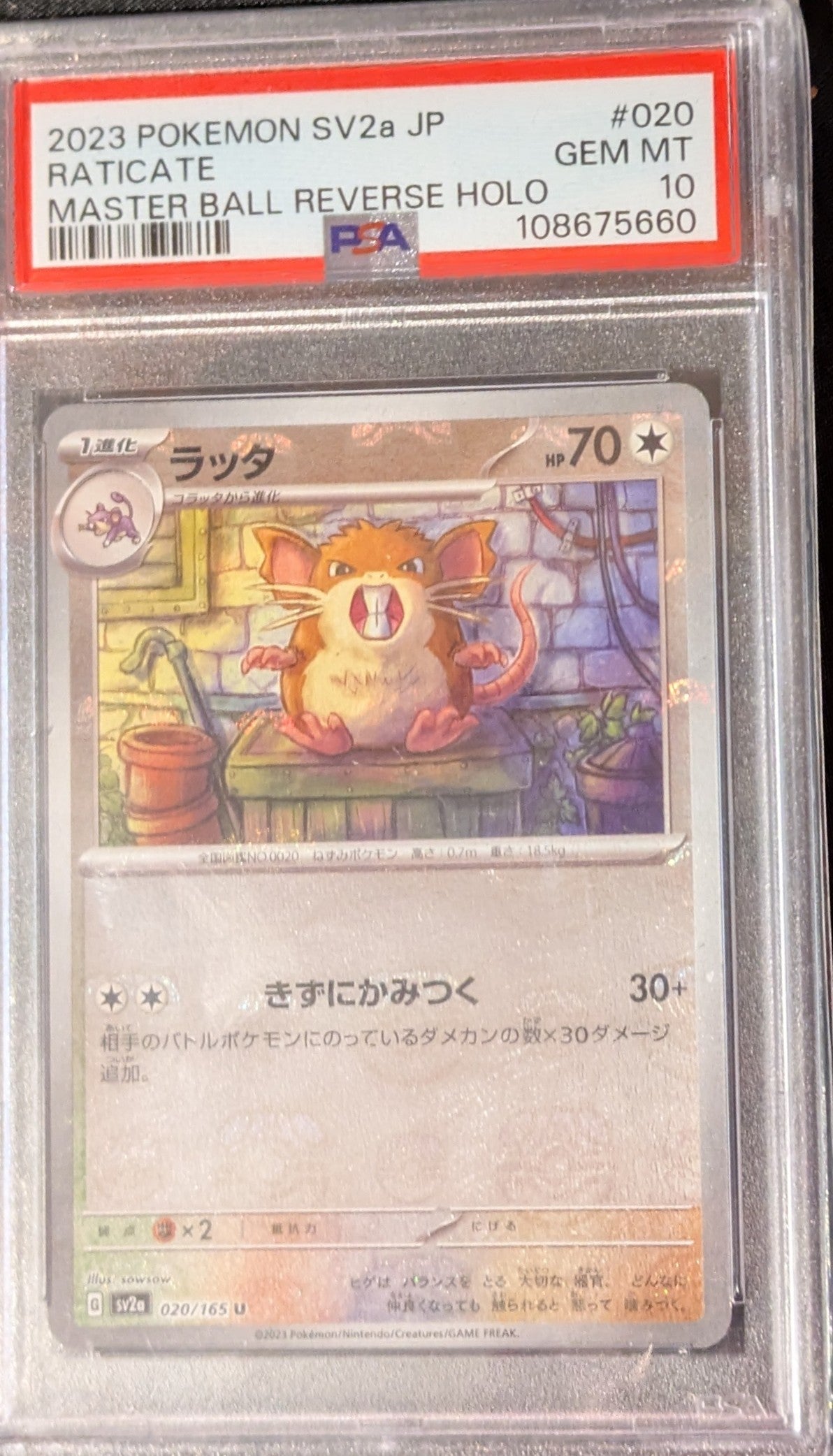 Raticate 020/165 MASTER BALL Reverse Holo Pokemon 151 Japanese PSA 10