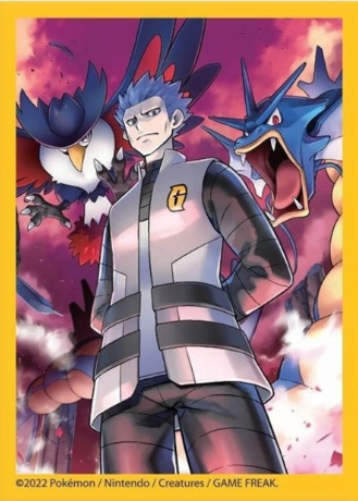 Cyrus + Gyarados Premium Tournament Sleeves X 65