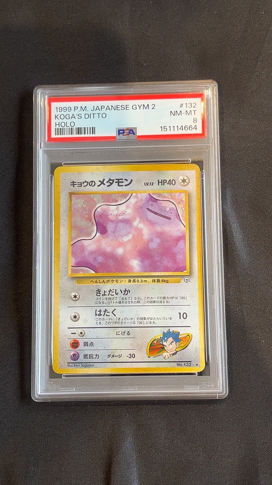 Kogas Ditto PSA 8