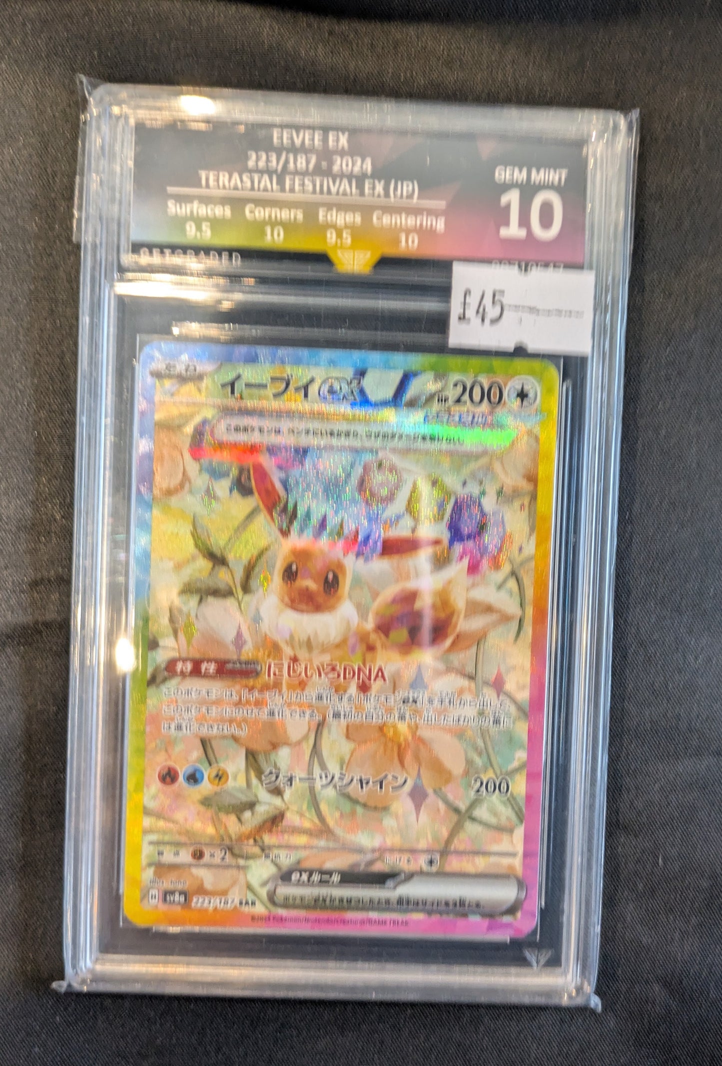 EEVEE EX 223/187 TERASTAL FESTIVAL EX (JPN) GET GRADED 10 PRISTINE
