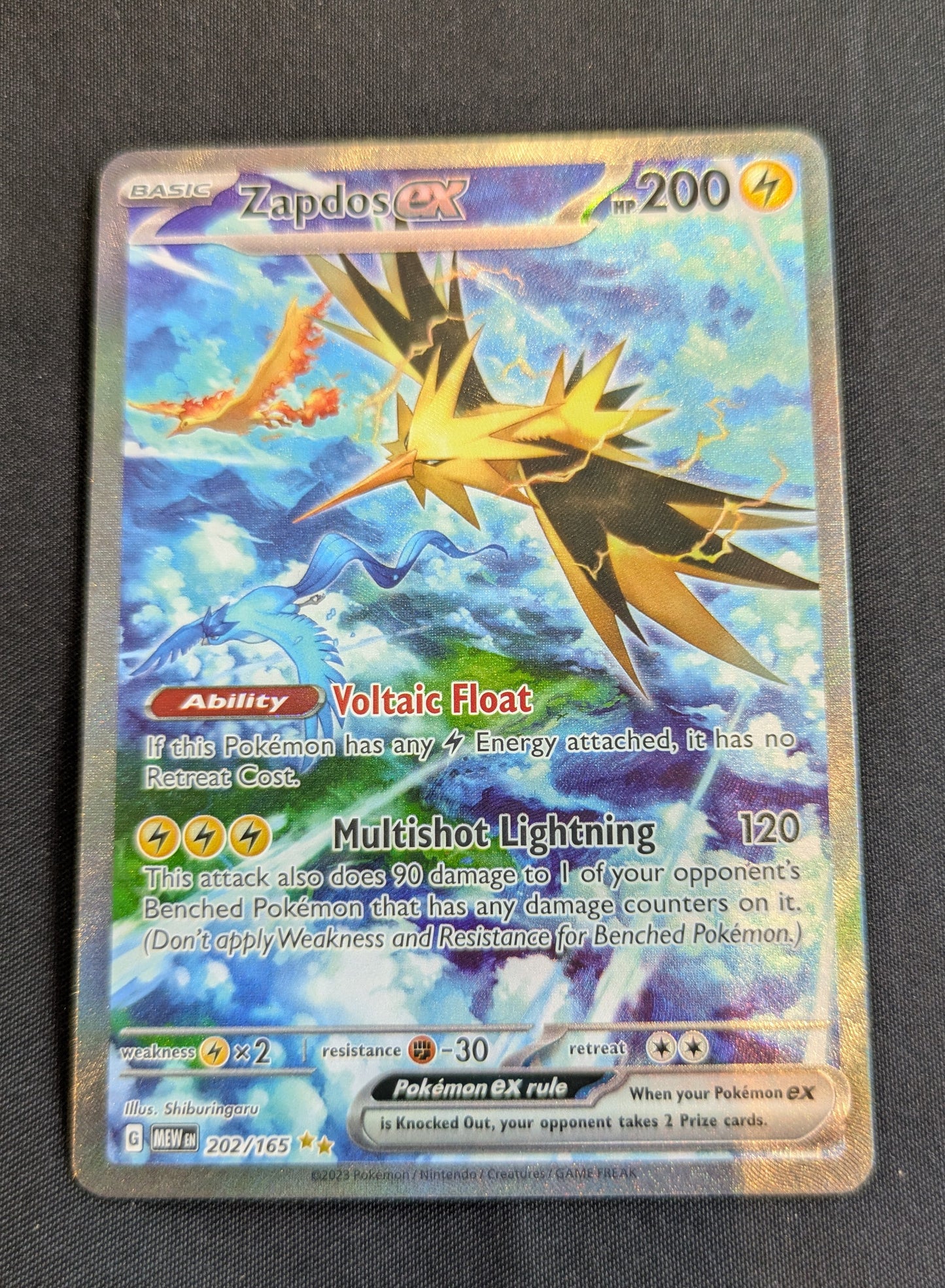 POKEMON ZAPDOS EX SINGLE 202/165