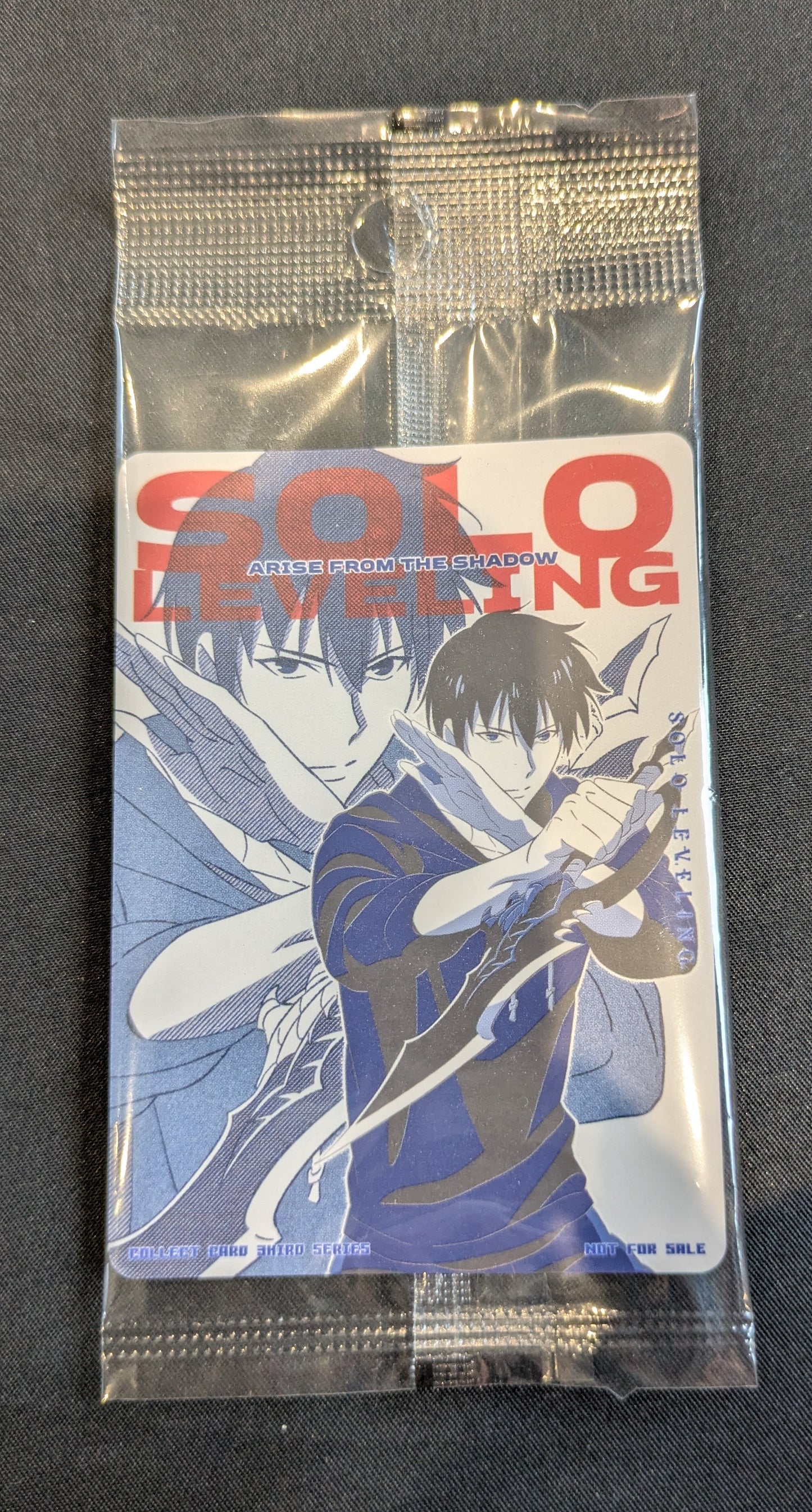 SOLO LEVELLING BLUE AND RED PROMO