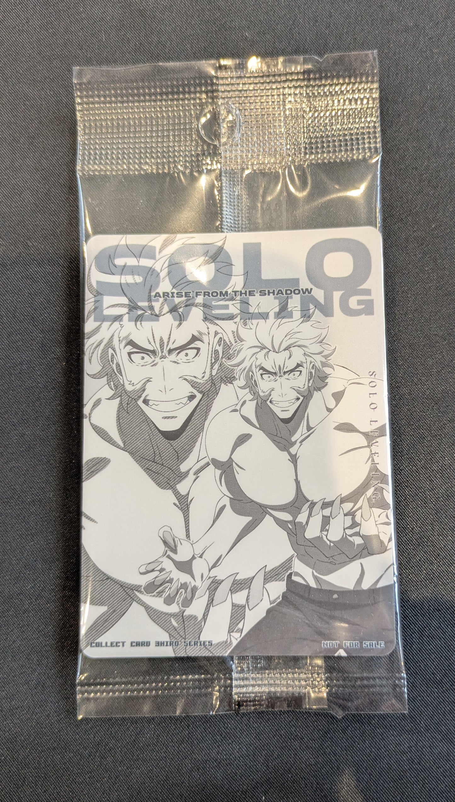 SOLO LEVELLING GREY PROMO