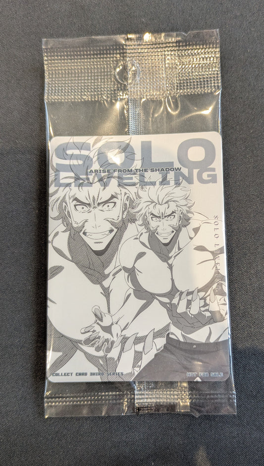 SOLO LEVELLING GREY PROMO