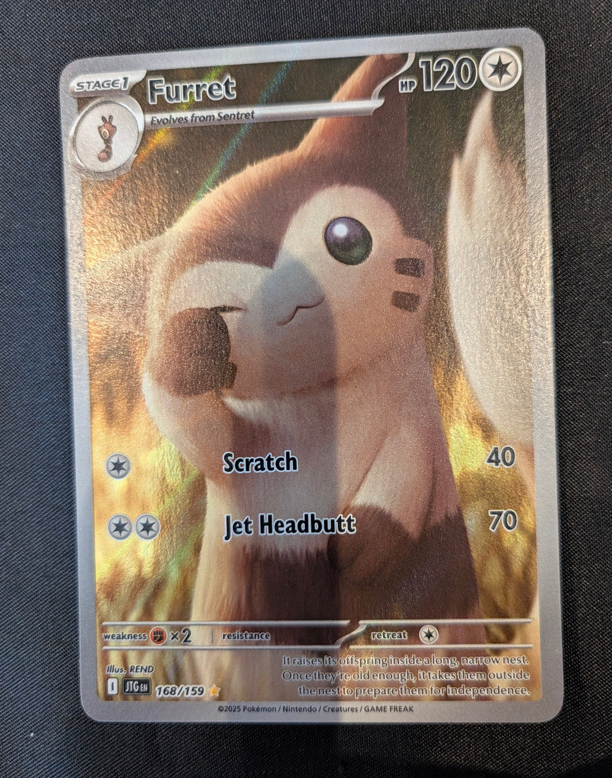 POKEMON SINGLES 168/159 FURRET ENGLISH